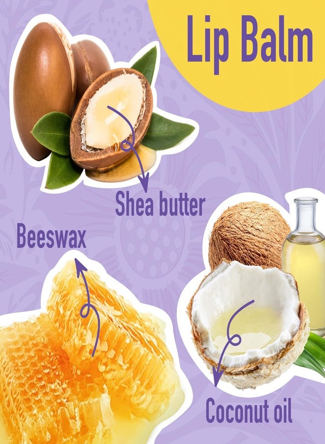 أزين مرطب شفاه أزين، عبوة من 12 قطعة، مرطب شفاه طبيعي بالجملة، منتج للعناية بالشفاه، مرطبات شفاه للشفاه الجافة والمتشققة - 12 نكهة - Image 5